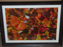 KBE-PIC-29inx39in-Rectangle-OrangeLeaves